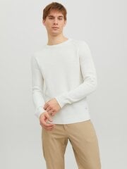 Мужской джемпер Jack & Jones 12236304*02, белый, 5715426951168 цена и информация | свитер e193 - черный | kaup24.ee