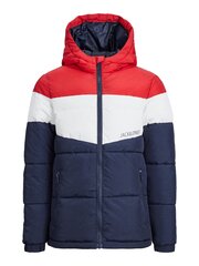 Детская куртка Jack & Jones 12236559*01, красная/белая 5715428083942 цена и информация | Куртки для мальчиков | kaup24.ee