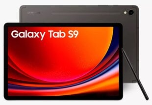 Samsung Galaxy Tab S9 WiFi Graphite SM-X710NZAEEUB цена и информация | для планшетов | kaup24.ee