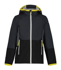 Куртка Icepeak для мальчиков Timber 51807-3*290, тёмно-серая/серая, 6438535494539 цена и информация | Куртки для мальчиков | kaup24.ee