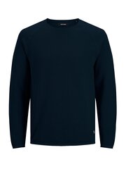 Детский джемпер Jack & Jones 12173981*01, тёмно-синий 5715425186684 цена и информация | Свитеры, жилетки, пиджаки для мальчиков | kaup24.ee