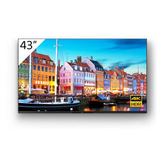 Монитор Videowall Sony FW-43BZ35J 43" UHD 4K цена и информация | Телевизоры | kaup24.ee