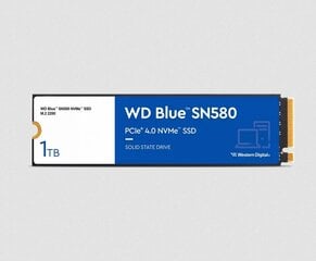 WD WDS100T3B0E цена и информация | Внутренние жёсткие диски (HDD, SSD, Hybrid) | kaup24.ee