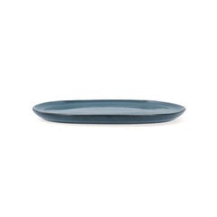 Плоская тарелка Bidasoa Ikonic, синяя (26.5 x 25.7 x 1.5 см) (4 шт.) цена и информация | Посуда, тарелки, обеденные сервизы | kaup24.ee