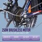 Elektrijalgratas Fafrees F20 Pro, 20", must, 250W, 18Ah hind ja info | Elektrirattad | kaup24.ee