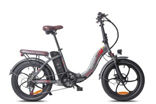 Электровелосипед FAFREES F20 Pro, 20", серый, 250Вт, 18Ач цена и информация | Электровелосипеды | kaup24.ee