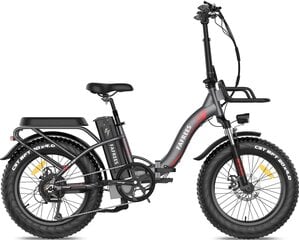 Электровелосипед FAFREES F20 Max, 20", серый, 500Вт, 22.5Ач цена и информация | Электровелосипеды | kaup24.ee