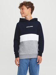 Детская толстовка Jack & Jones 12237402*01, тёмно-синяя /белая, 5715425305078 цена и информация | Свитеры, жилетки, пиджаки для мальчиков | kaup24.ee