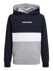 Laste dressipluus Jack & Jones 12237402*01, tumesinine/valge 5715425305078 цена и информация | Свитеры, жилетки, пиджаки для мальчиков | kaup24.ee