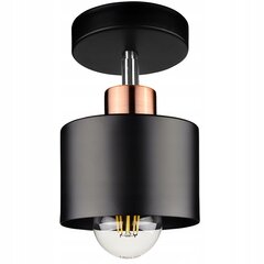 Точечный потолочный светильник, черный цена и информация | Потолочные светильники | kaup24.ee