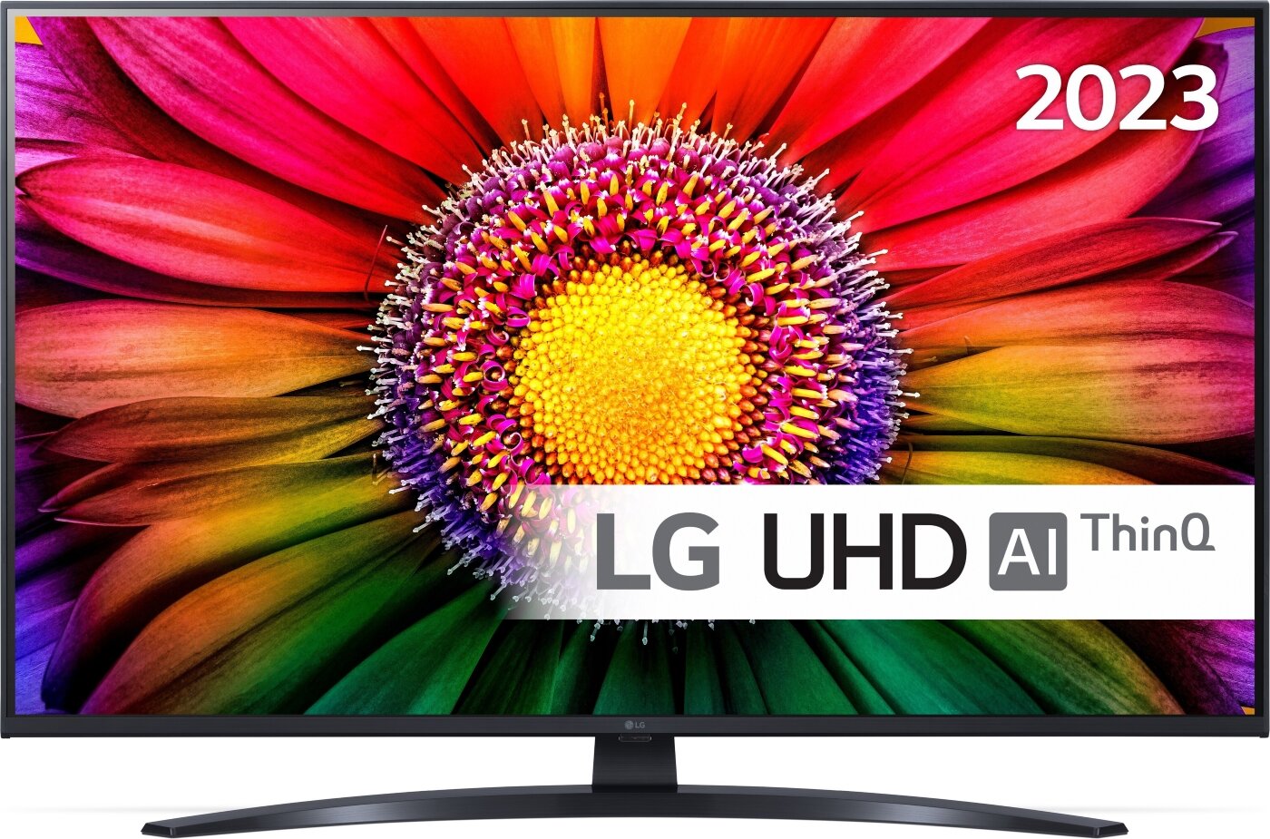 LG 43UR81003LJ.AEU цена и информация | Telerid | kaup24.ee