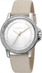 Женские часы Esprit ES1L143L0025 цена и информация | Женские часы | kaup24.ee