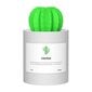 Eeterliku õli aurusti Cactus Humidifer 306B, 280ml, 50ml / H цена и информация | Õhuniisutajad | kaup24.ee