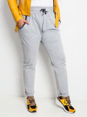 Серые хлопковые брюк цена и информация | Спортивная одежда для женщин | kaup24.ee