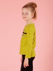 Pluus, laim цена и информация | Рубашки для девочек | kaup24.ee