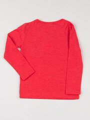 Pluus, punane цена и информация | Рубашки для девочек | kaup24.ee