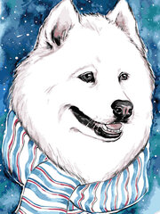 Maalid numbrite järgi TM Värvikas "Fluffy White Dog" 30x40 cm hind ja info | Maalid numbri järgi | kaup24.ee