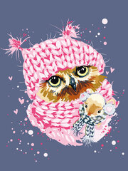 Maalid numbrite järgi TM Värvikas "Winter Owl" 30x40 cm hind ja info | Maalid numbri järgi | kaup24.ee