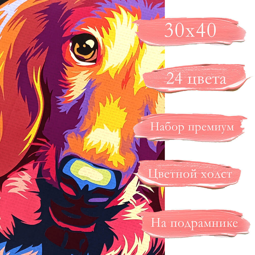 Maalid numbrite järgi TM Värvikas "Through the eyes of a dachshund" 30x40 cm hind ja info | Maalid numbri järgi | kaup24.ee