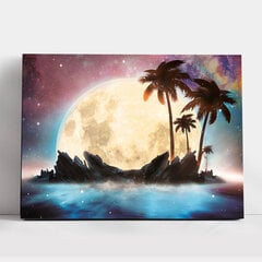 Maalid numbrite järgi TM Värvikas "Magical moon" 30x40 cm цена и информация | Живопись по номерам | kaup24.ee