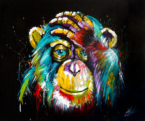 Maalid numbrite järgi TM Värvikas "Rainbow Monkey" 40x50 cm цена и информация | Живопись по номерам | kaup24.ee