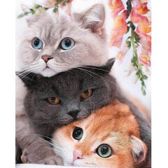 Maalid numbrite järgi TM Värvikas "Three Kittens" 40x50 cm цена и информация | Живопись по номерам | kaup24.ee