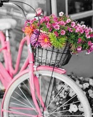 Maalid numbrite järgi TM Värvikas "Pink bicycle" 40x50 cm цена и информация | Живопись по номерам | kaup24.ee