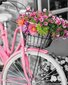 Maalid numbrite järgi TM Värvikas "Pink bicycle" 40x50 cm hind ja info | Maalid numbri järgi | kaup24.ee