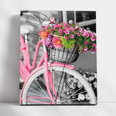 Maalid numbrite järgi TM Värvikas "Pink bicycle" 40x50 cm hind ja info | Maalid numbri järgi | kaup24.ee