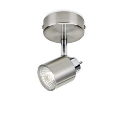 Потолочный светильник Philips Meranti цена и информация | Потолочные светильники | kaup24.ee
