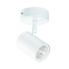 Потолочный светильник Philips Wiz цена и информация | Потолочные светильники | kaup24.ee