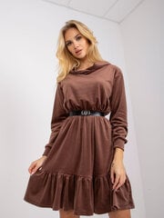 Kleit, pruun цена и информация | Платья | kaup24.ee