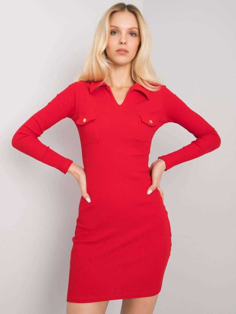 Kleit, punane hind ja info | Kleidid | kaup24.ee