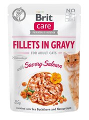 Brit Care Fillets in gravy koos lõhega, 24 x 85 g hind ja info | Konservid kassidele | kaup24.ee