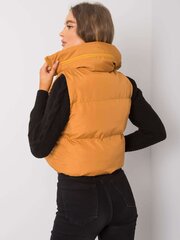 Vest, tumekollane hind ja info | Naiste vestid | kaup24.ee