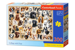 Pusle Castorland kollaaž koertega, 200 tk hind ja info | Pusled | kaup24.ee