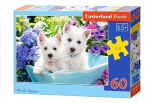 Пазл Castorland Westie Puppies, 60 деталей цена и информация | Пазлы | kaup24.ee