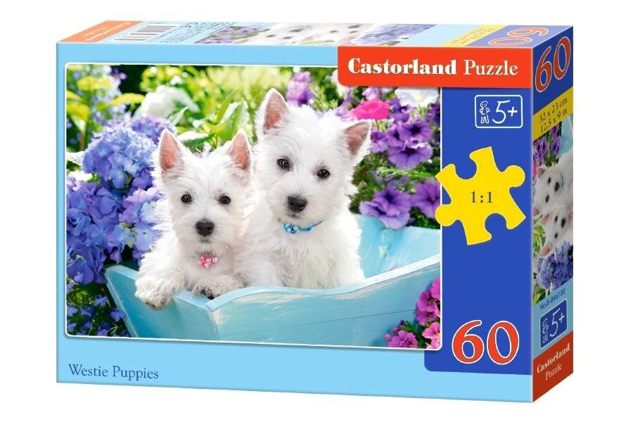 Pusle Castorland Westie Puppies Puzzle, 60 tükki цена и информация | Pusled | kaup24.ee