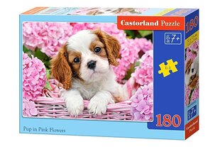 Пазл Castorland Pup in Pink Flower, 180 деталей цена и информация | Пазлы | kaup24.ee