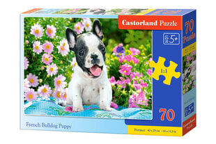 Пазл Castorland French Bulldog Puppy, 70 деталей цена и информация | Пазлы | kaup24.ee