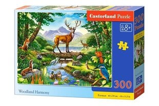 Pusle Castorland Woodland Harmony Puzzle, 300 tükki hind ja info | Pusled | kaup24.ee