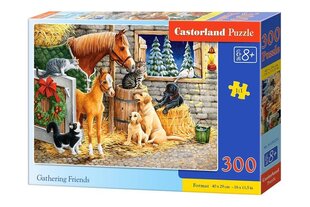 Pusle Castorland Gathering Friends Puzzle, 300 tükki hind ja info | Pusled | kaup24.ee