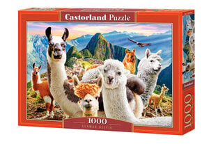 Пазл Castorland Llamas Selfie, 1000 деталей цена и информация | Пазлы | kaup24.ee