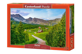 Pusle Castorland Trail in Tatras pusle, 500 tükki hind ja info | Pusled | kaup24.ee