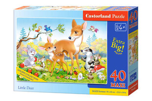Pusle Castorland Little Deer Puzzle, 40 tükki hind ja info | Pusled | kaup24.ee