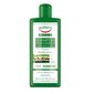 Tricologica Shampoo Anti-Caduta Fortificante tugevdav šampoon juuste väljalangemise vastu 300ml цена и информация | Šampoonid | kaup24.ee