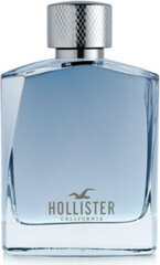 Hollister EDT Wave for Him Meestele (100 ml) цена и информация | Мужские духи | kaup24.ee