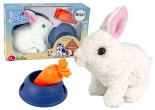 Интерактивный плюшевый кролик цена и информация | Мягкие игрушки | kaup24.ee
