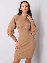 Женское платье, коричневое цена и информация | Платья | kaup24.ee