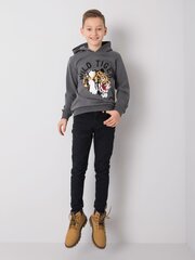 Kampsun, tumehall цена и информация | Свитеры, жилетки, пиджаки для мальчиков | kaup24.ee